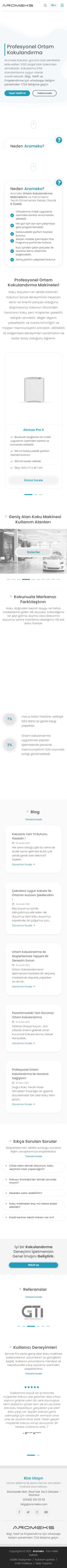 Web Tasarım Sistemleri Proje Detayı Mobil Görünüm