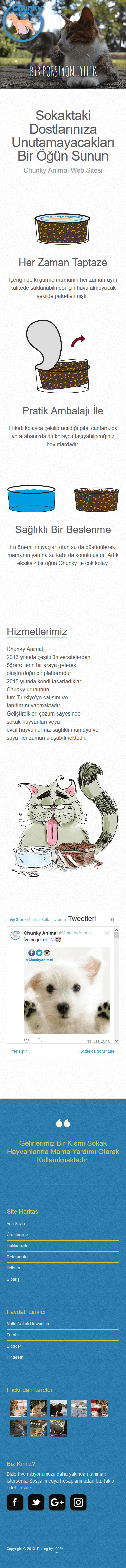 Web Tasarım Sistemleri Proje Detayı Mobil Görünüm