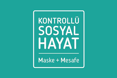 Covid-19 Sürecinde Web 'de Hayatta Kalmak ve Gelişmek