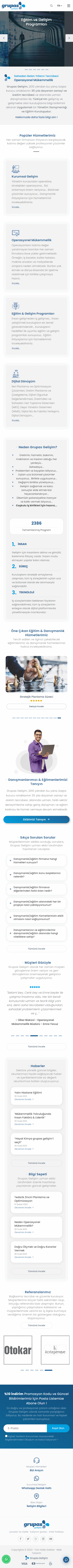 Web Tasarım Sistemleri Proje Detayı Mobil Görünüm