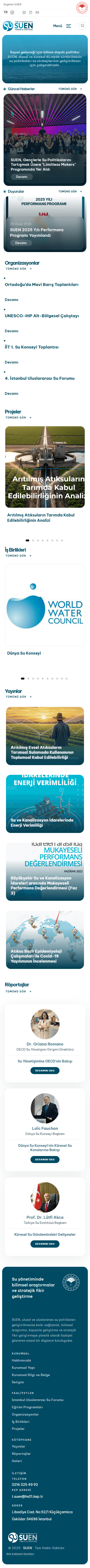 Web Tasarım Sistemleri Proje Detayı Mobil Görünüm