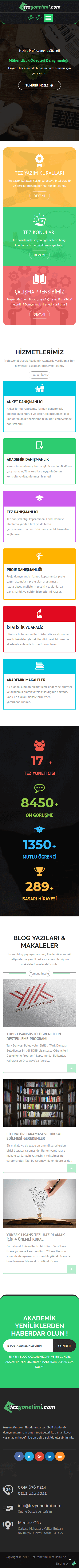 Web Tasarım Sistemleri Proje Detayı Mobil Görünüm