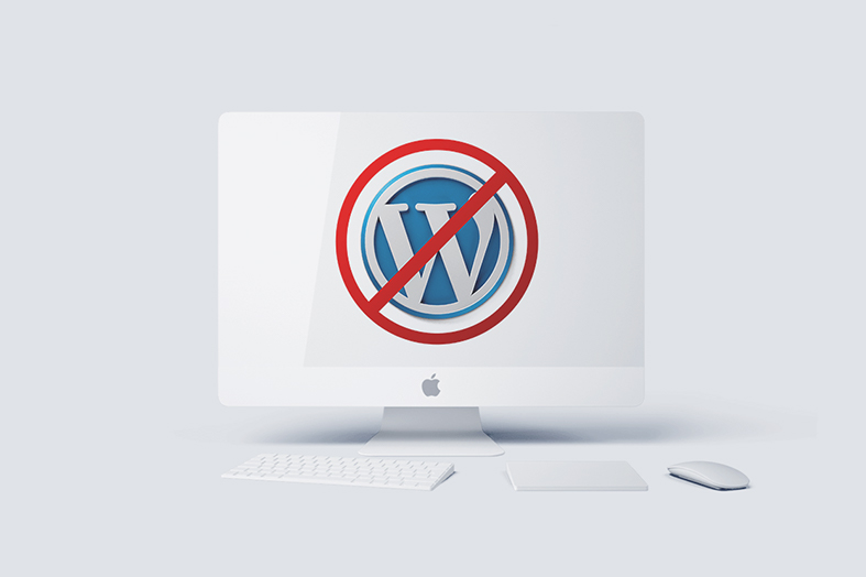 Wordpress Kullanmanın 6 Dezavantajı: Detaylı Anlatım