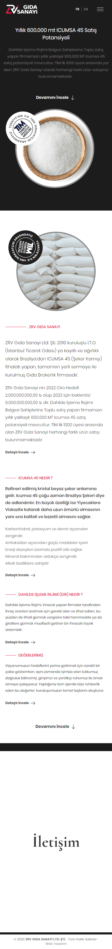 Web Tasarım Sistemleri Proje Detayı Mobil Görünüm